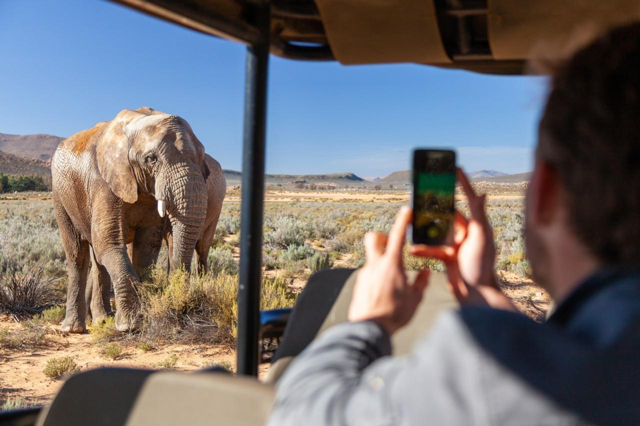 Guest photographing an elephant during a game reserve drive